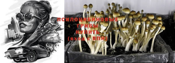 мяу мяу кристалл Алексин