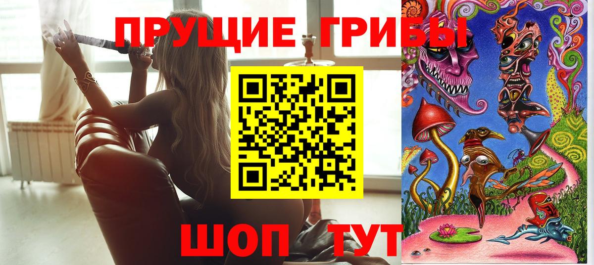 Галлюциногенные грибы мицелий  Псилоцибиновые грибы прущие грибы  Жуковский  Вход с VPN 